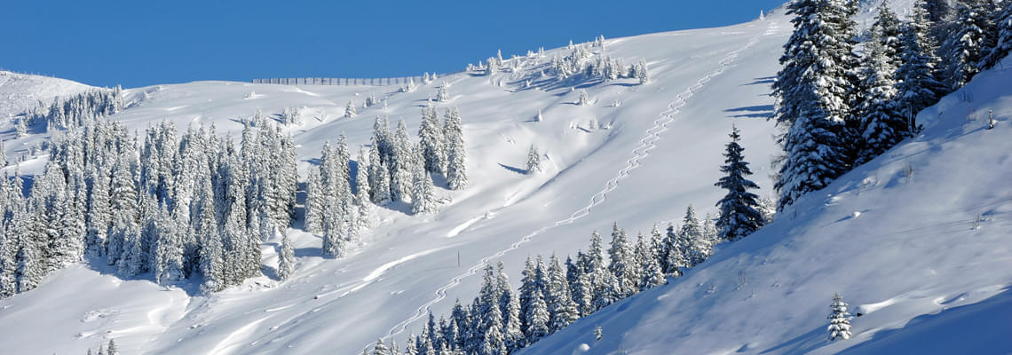 geführte Skitouren Anfänger Österreich