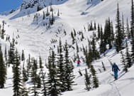 Skitouren International